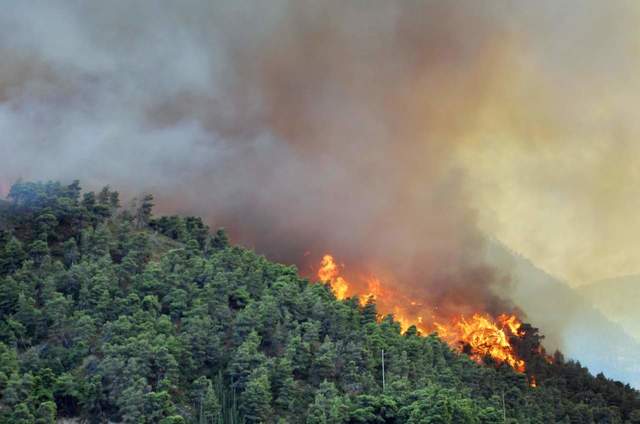 Pericolosità incendi boschivi