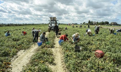 Bando regionale per la sistemazione temporanea dei lavoratori salariati delle Aziende Agricole piemontesi